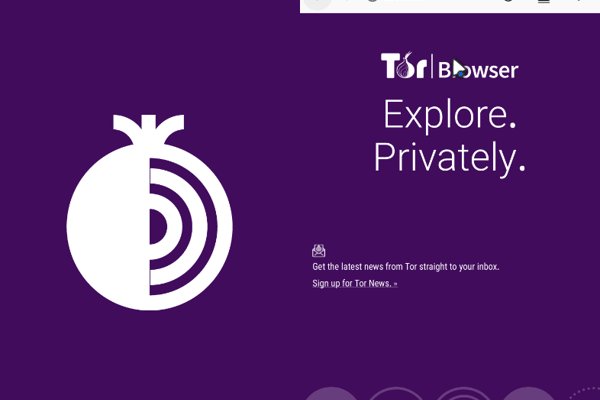 Kraken com darknet