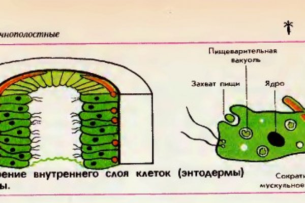 Кракен рабочая ссылка на официальный магазин