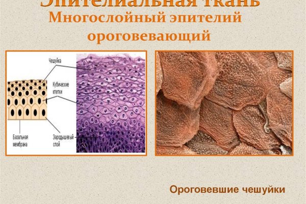 Кракен дарксайд